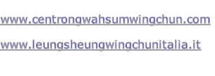 
www.centrongwahsumwingchun.com

www.leungsheungwingchunitalia.it


